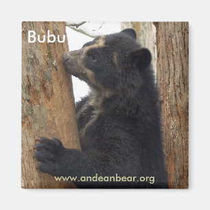 Imán del oso de Bubu