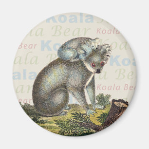Imán del oso de koala