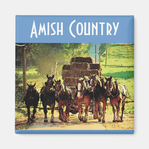 Imán del país de Amish