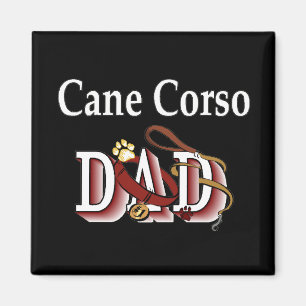 imán del papá del corso del bastón