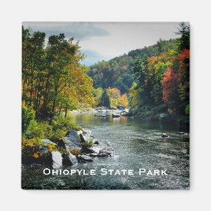 Imán del parque de estado de Ohiopyle