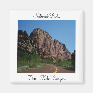 Imán del parque nacional de Zion