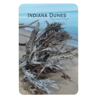 Imán del Parque Nacional Driftwood Indiana Dunes