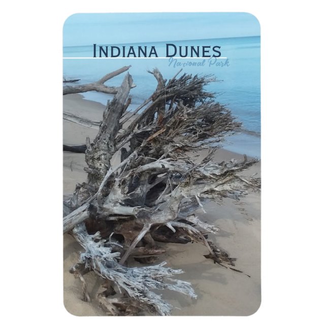 Imán del Parque Nacional Driftwood Indiana Dunes (Vertical)