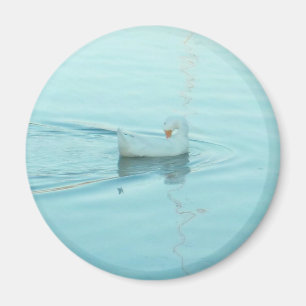 Imán del pato blanco