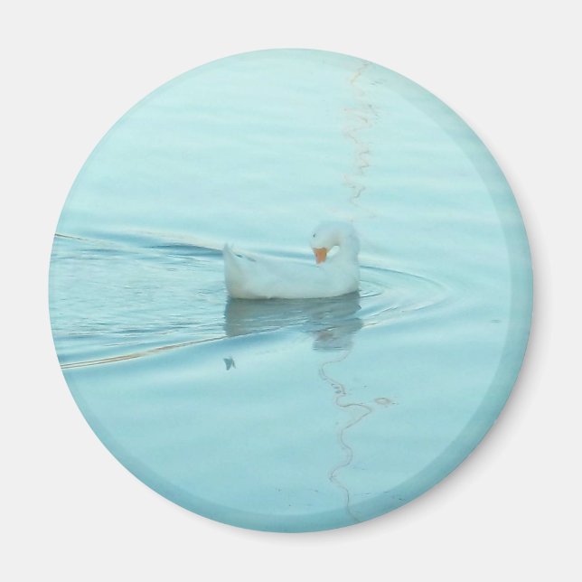 Imán del pato blanco (Frente)