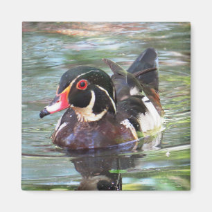 Imán del pato de madera