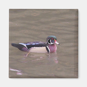 Imán del pato de madera