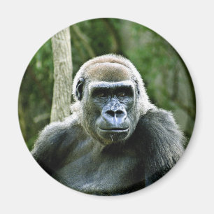 Imán del perfil del gorila