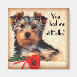 Imán del perrito de Yorkie