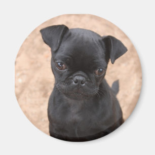 Imán del perrito del barro amasado