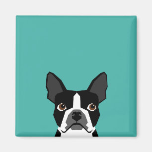 Imán del perro de Boston Terrier