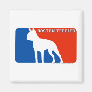 Imán del perro de la primera división de Boston