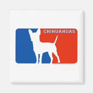 Imán del perro de la primera división de las
