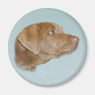 Imán del perro de Labrador