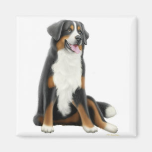 Imán del perro de montaña de Bernese