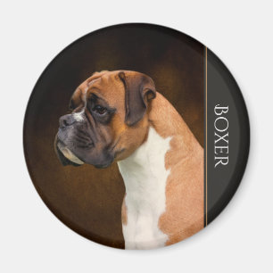 Imán del perro del boxeador