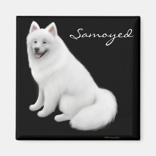 Imán del perro del samoyedo