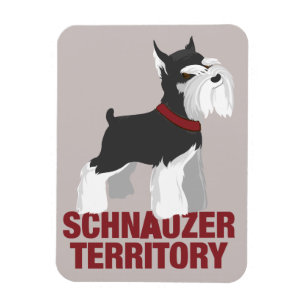 Imán del perro del Schnauzer miniatura