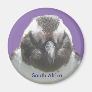 Imán del Personalizable de los pingüinos sudafrica