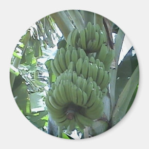 Imán del plátano