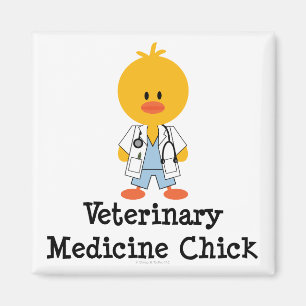 Imán del polluelo de la veterinaría