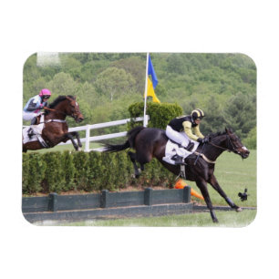 Imán del premio de Eventing de los caballos