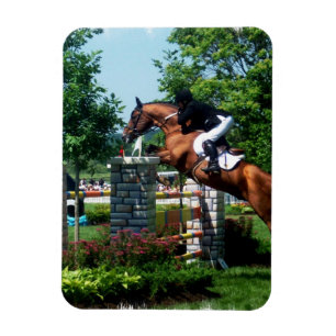Imán del premio del caballo de Grand Prix