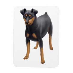 Imán del premio del Pin del minuto del Pinscher