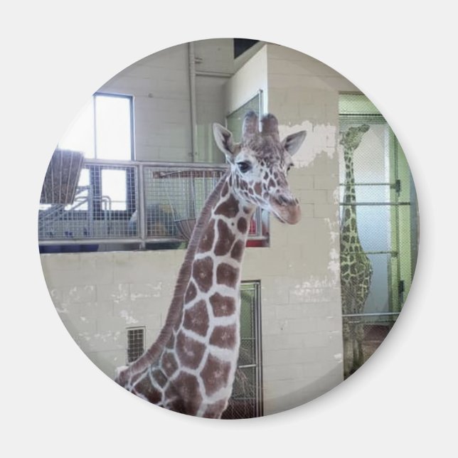 Imán del ratón #2 (Frente)