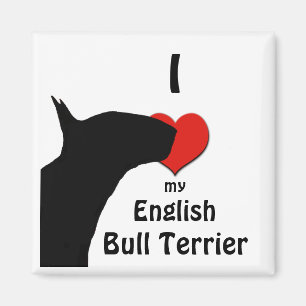 Imán del refrigerador de bull terrier del inglés