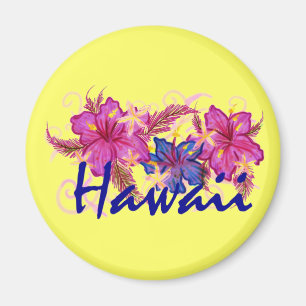Imán del refrigerador de Hawaii