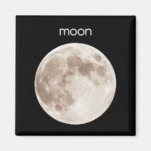 Imán del refrigerador de la luna