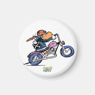 Imán del refrigerador de los patos salvajes