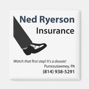 Imán del refrigerador de Ned Ryerson