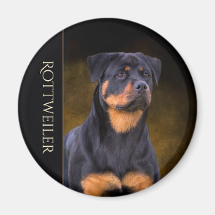 Imán del refrigerador de Rottweiler