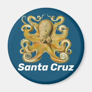 Imán del refrigerador de Santa Cruz