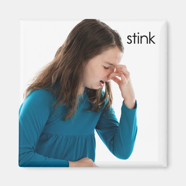 Imán del refrigerador de Stink (Frente)