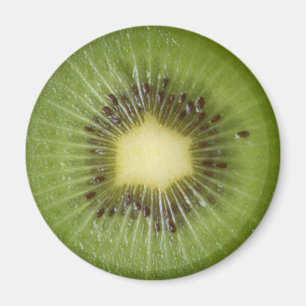 IMÁN DEL REFRIGERADOR DEL KIWI PARA SU