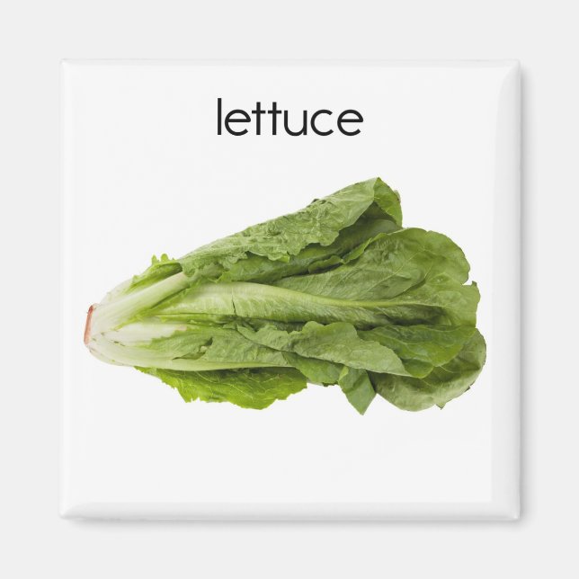 imán del refrigerador Lettuce (Frente)