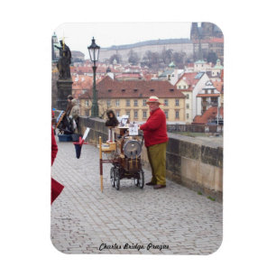 Imán del refrigerador, puente Praga de Charles