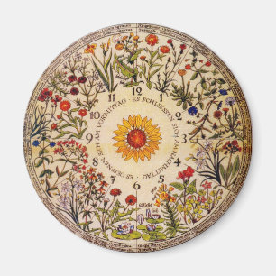 Imán del reloj de la flor de Blumenuhr