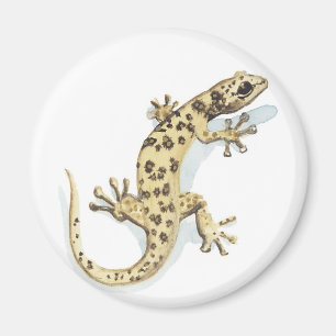 Imán del reptil