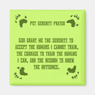 Imán del rezo de Serentiy del mascota