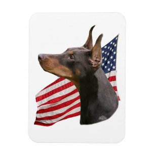 Imán del rojo de la cabeza del Pinscher del