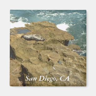 Imán del sello de San Diego que toma el sol