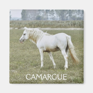 Imán del semental de Camargue