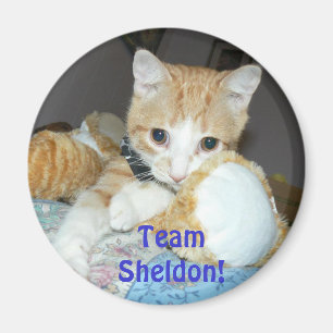 imán del sheldon del equipo