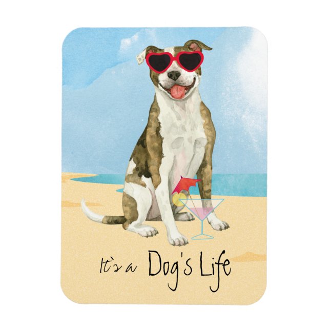 Imán del Toro Terrier de Verano (Vertical)