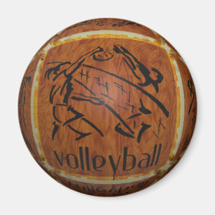 Imán del VOLEIBOL